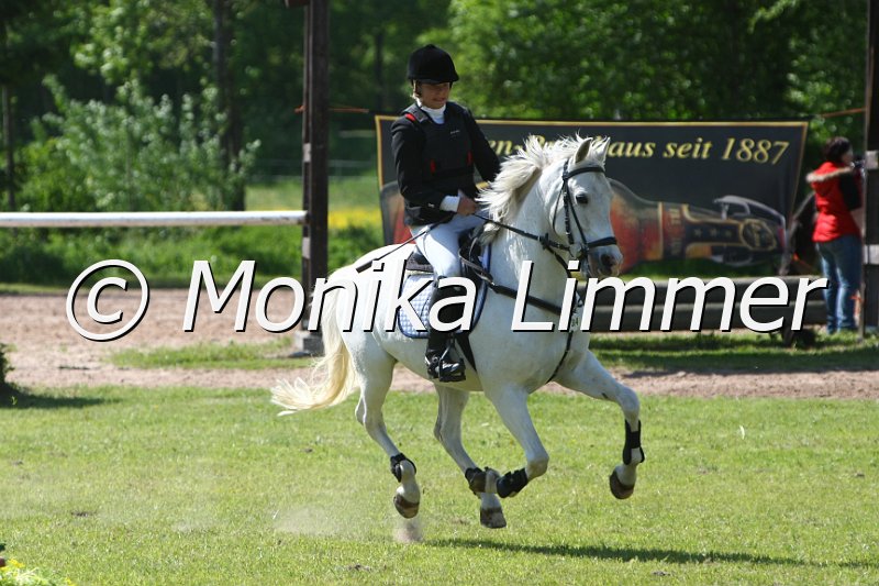 204M1286_Bekas Sundancer_Spring_Ax.JPG